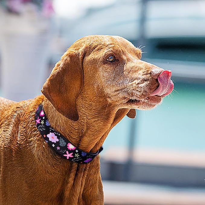 QQPETS Adjustable Soft Dog Collar: Print Flower Pink Multicolor Cute Patterns - Image 6