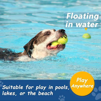 Tennis Balls for Dogs - Image 6