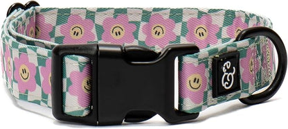 Lucy & Co. Making Rainbows, Cute Reversible Dog Harness Walking Halter by LucyCo