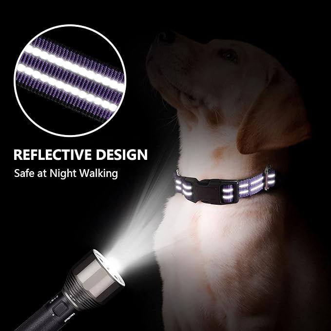 Martingale Dog Collar, Adjustable Nylon Reflective Collar - Image 2