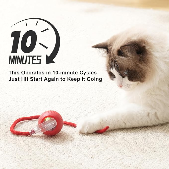 2025 New 3Pack Cat Ball Kitten Toys - Image 4