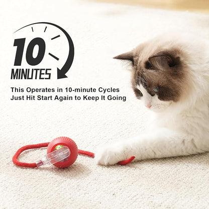2025 New 3Pack Cat Ball Kitten Toys - Image 4