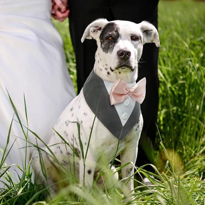 FUAMEY Dog Tuxedo for Small Dogs, Dog Formal Suit Dogs Attire Pet Bow Tie Puppy - Image 2
