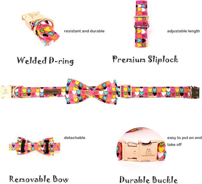 Lionheart glory Valentine's Dog Collar, Dog Collars - Image 2