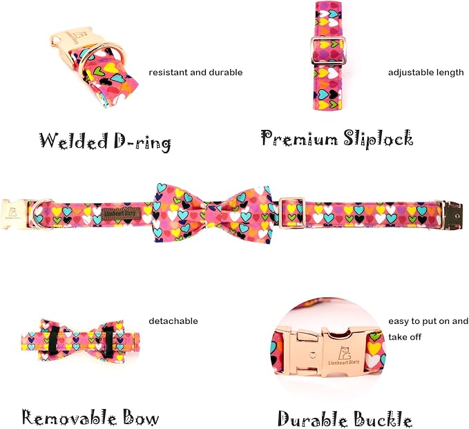 Lionheart glory Valentine's Dog Collar, Dog Collars - Image 3
