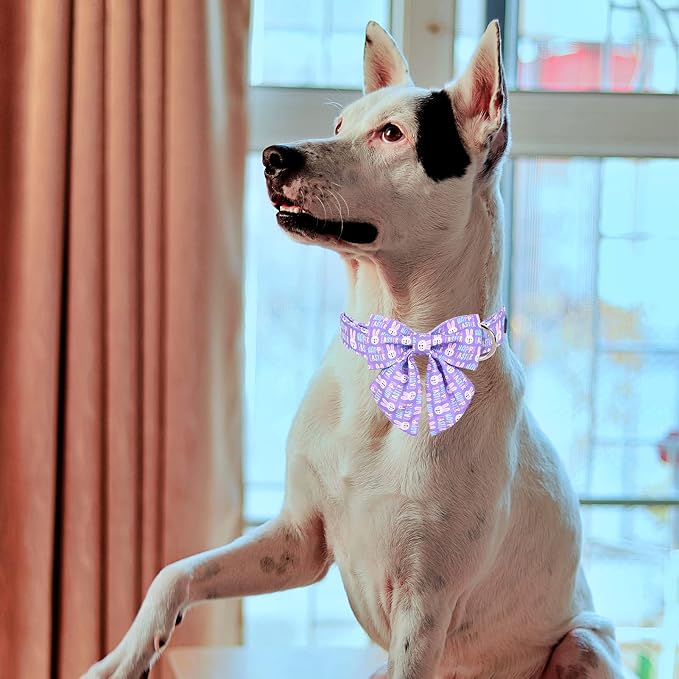 MR. CHUBBYFACE Easter Dog Collar, Adjustable Pet Collar Bowtie - Image 4