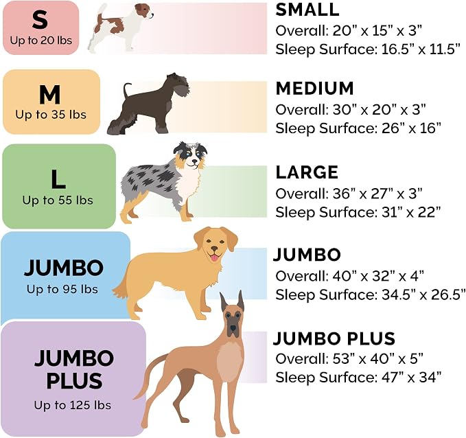 Furhaven Memory Foam Dog Bed for Medium/Small Dogs w/ Removable Bolsters & - Image 5