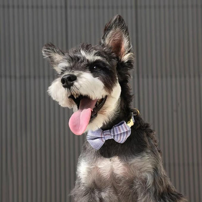 Beirui Cute Extra Small Dog Harness Collar and Leash Set - Image 5