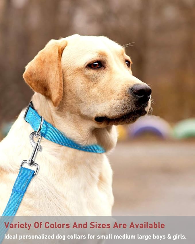 Reflective Dog Collar with Buckle Adjustable Safety Nylon Collars - Image 7