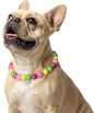 Beaded Dog Necklace Collar, Adjustable Jewelry-Inspired Design by JOGIA