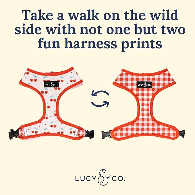 Lucy & Co. Cheery Cherries, Cute Reversible Dog Harness Walking Halter - Image 3