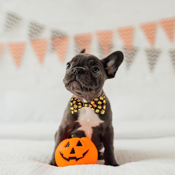 Halloween Dog Bow Tie Collar, Holiday Skull Pumpkin Collar - Image 6