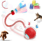 Interactive Cat Toys Ball for Indoor Cats, Automatic Cat Toy by Petayouj