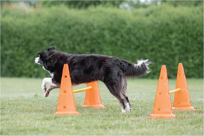TRIXIE Dog Agility Hurdle Cone Set – Dog Agility Set - Image 3