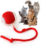 Rocfish Durable Interactive Cat Toys by Unknown