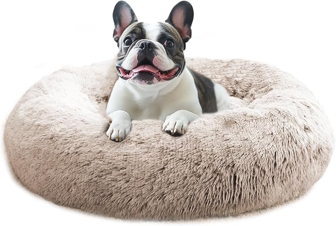 JOLLYVOGUE Calming Dog Bed for Small Dogs by JOLLYVOGUE