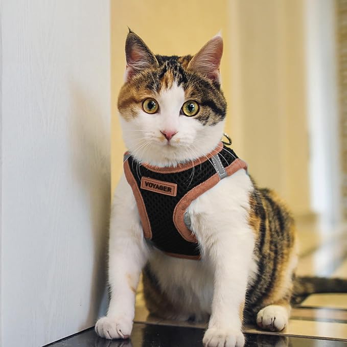 Best Pet Supplies Voyager Step-in Air All Weather Mesh Harness and Reflective - Image 7