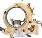 Cat Running Wheel, Cat Treadmill by Unknown
