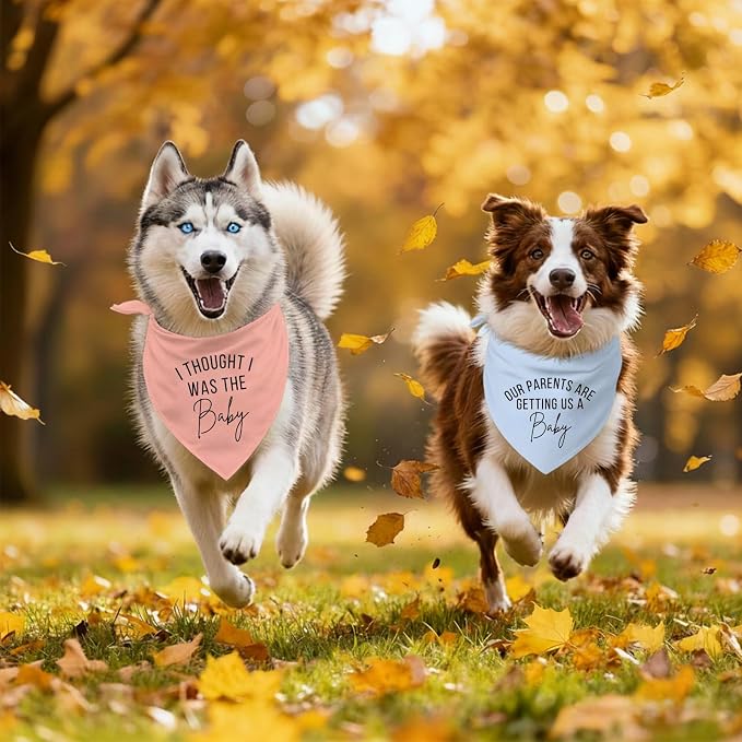 2 Pack Dog Bandanas for Pregnancy Announcement, Cute Adjustable Pet Bandana - Image 6