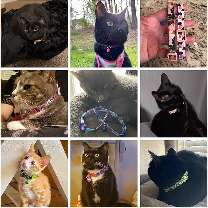 Breakaway Cat Collars for Girl Boy Cats, Spring Summer All Weather Cat Collar - Image 9