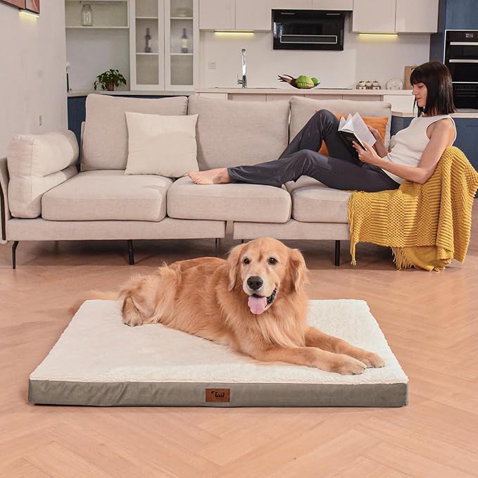 Plush Orthopedic Dog Bed for Medium Dogs & Puppies, Waterproof Dog Beds 30x20 - Image 6