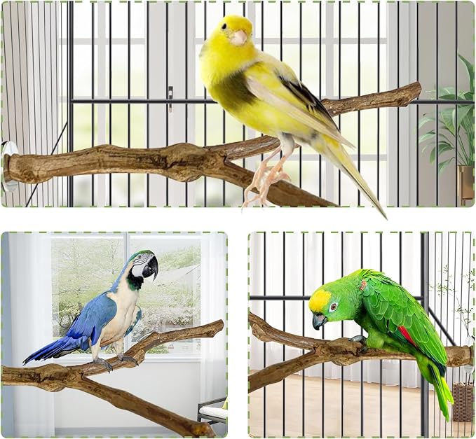 kathson Natural Parrot Perch Bird Stand Pole Wild Grape Stick Paw Grinding Fork - Image 3