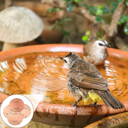 4 Pcs Bird Bath Copper Disk, 0.6mm Thick Reinforced 99.99% Pure Copper Birdbath - Image 7