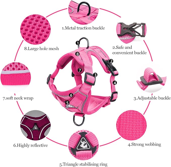 Wanheart Summer cat Chest Harness and Leash, Anti-Escape Adjustable Soft mesh - Image 4