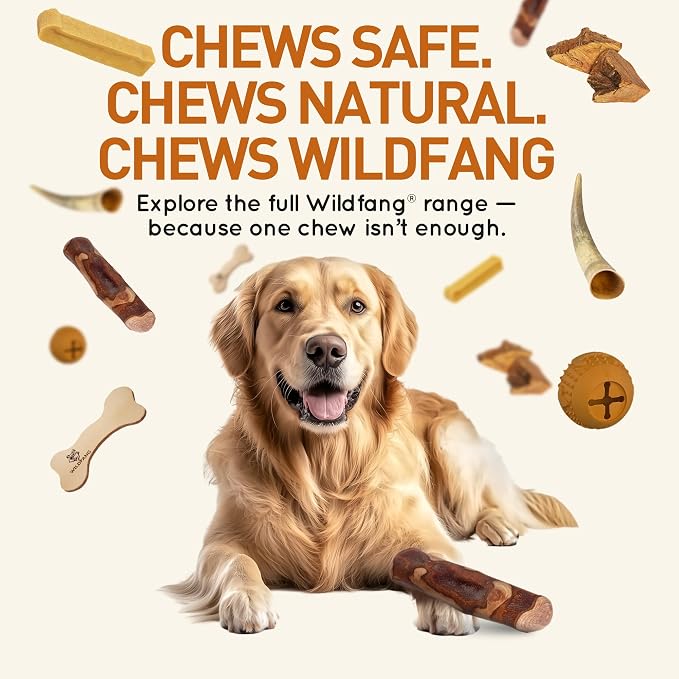 Wildfang® Olive Wood Chewing Sticks - Image 7