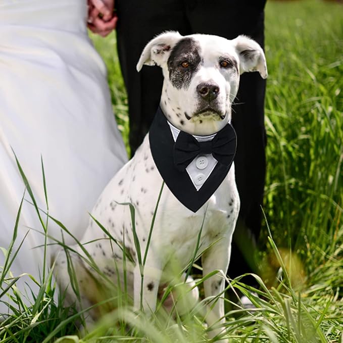 FUAMEY Dog Tuxedo, Adjustable Black Polycotton, Formal Attire - Image 2