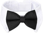 Segarty Dog Tuxedo Collar for Neck Girth 12.6-15.7in, Bow Tie Collar Black by Segarty