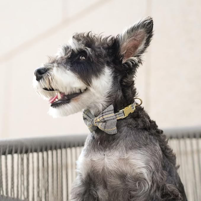 Beirui Cute Extra Small Dog Harness Collar and Leash Set - Image 5