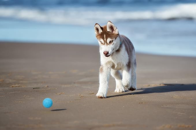 Snug Rubber Dog Balls for Small and Medium Dogs - Image 6