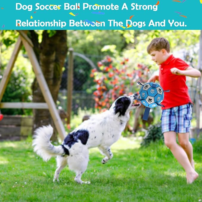 Dog Soccer Ball, Interactive Toys - Image 3
