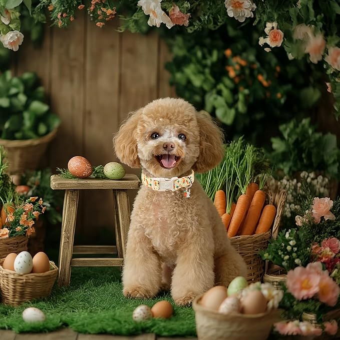 Easter Dog Collar for Small Dogs - Image 2