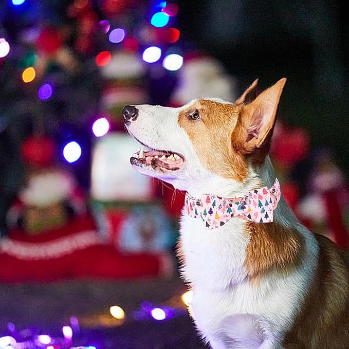 Christmas Dog Collar - Image 5