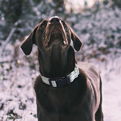 Hikiko Reflective Martingale Collar - Image 2