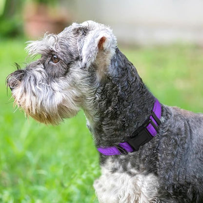 Joytale Reflective Dog Collar, Soft Neoprene Padded Breathable Nylon Pet Collar - Image 2