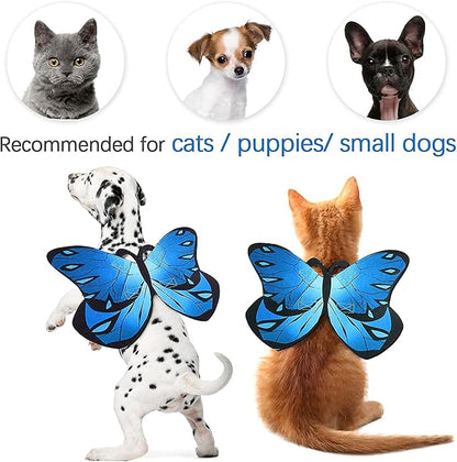 Pet Cat Bat Wings for Halloween Party Decoration, Puppy Collar Leads Cosplay - Image 7