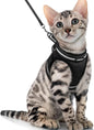 rabbitgoo Cat Harness and Leash Set by rabbitgoo