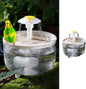 MANON ROSA Bird Bath for Parakeets by MANONROSAPET