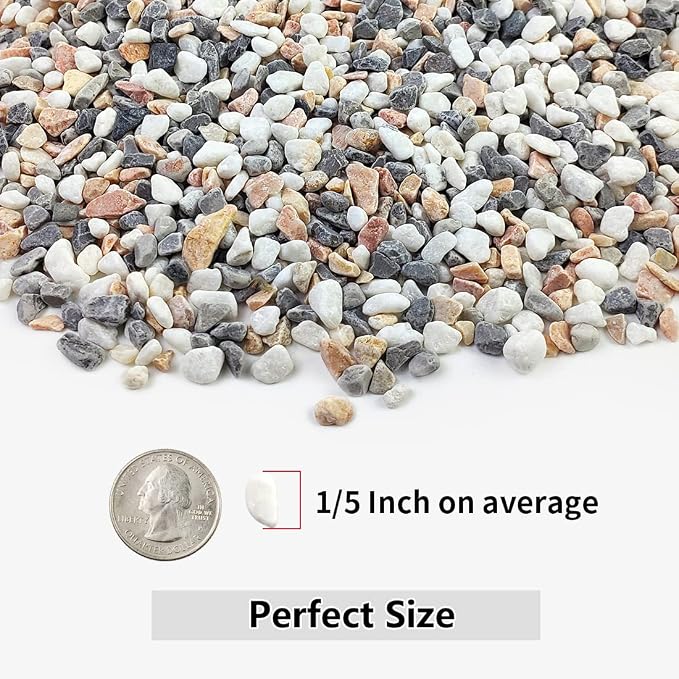 5LBS Succulent and Cactus Gravel Pebbles, 1/5 Inch Natural Decorative Polished - Image 2