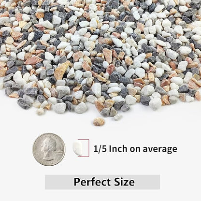 5LBS Succulent and Cactus Gravel Pebbles, 1/5 Inch Natural Decorative Polished - Image 2