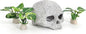 Fish Aquarium Decorations Cave Hide by Vtapliea