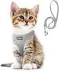 Fida Comfy Dog Harness with Leash, Cat Vest Harness Escape Proof, Breathable by Fida