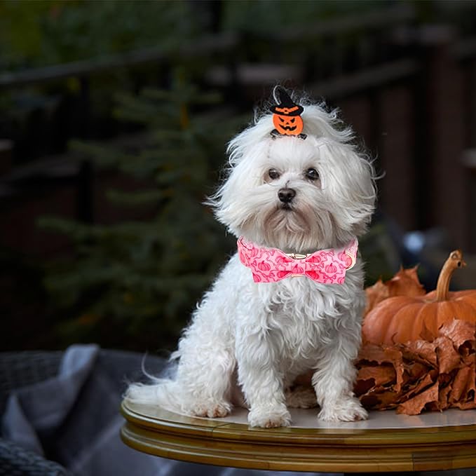 Dog Collar - Image 5