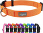 Dog Collar Orange Basic Adjustable Dog Collars by Penseepet