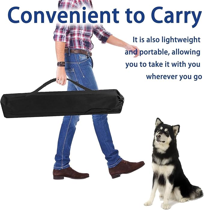 Dog Agility Equipment - Image 7
