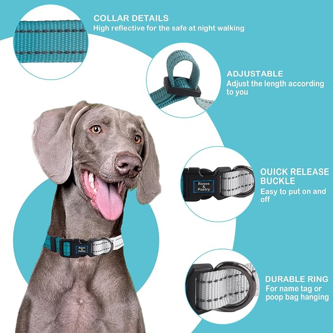 Roses&Poetry Small Dog Collar, Adjustable Personalized Durable Pet Collars - Image 2