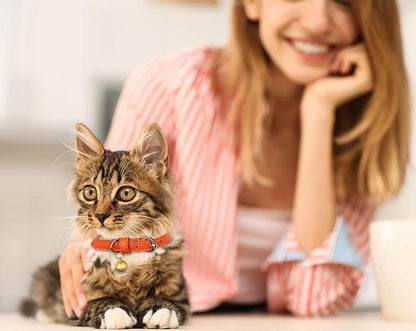 3 Pack Leather Cat Collars - Image 7